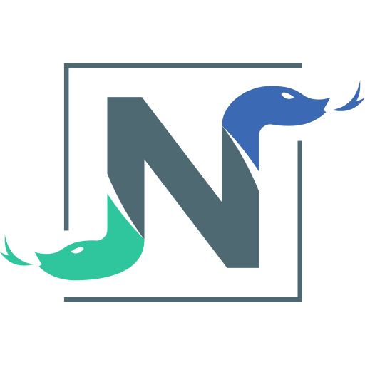 Nyoka - AI Agency Logo