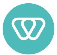 WiserBrand - AI Agency Logo