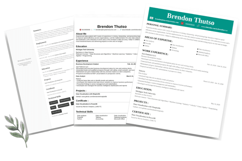 My STEM Resume preview